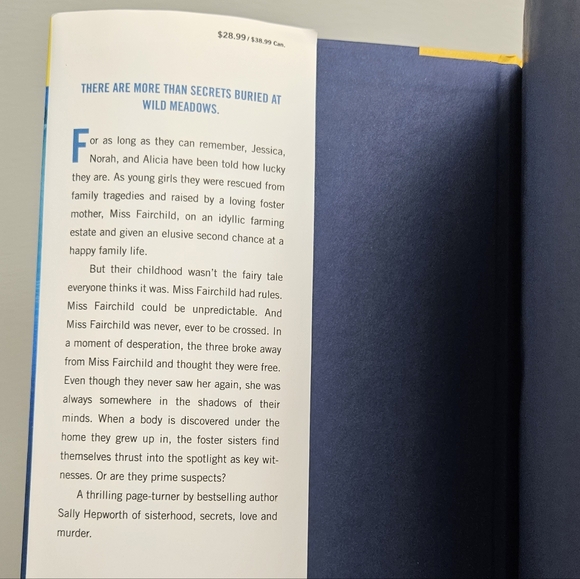 BOGO Books: "Darling Girls" Hardcover Book by Sally Hepworth - Picture 8 of 11